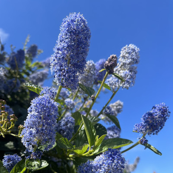 Meet your Posher, Caleb - Picture 1 of 1